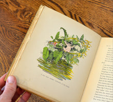 Load image into Gallery viewer, [Hand Colored] The Comedy of A Midsummer Night’s Dream
