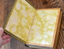 Load image into Gallery viewer, [Fine Binding | Lucien Broca] Modern Painters
