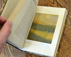 [Embroidered Binding] Philopolis, Vol. 6