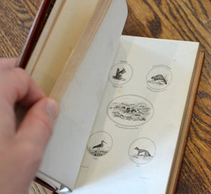 [Fine Binding | Macdonald] Modern and Antique Gems