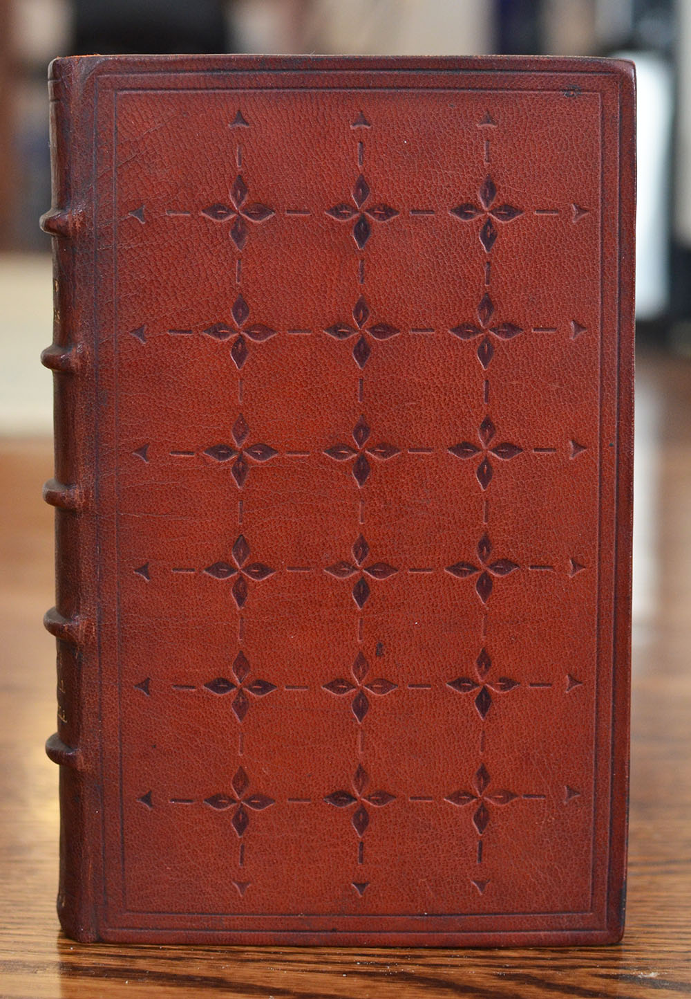[Fine Binding | Virginia Chester] The Biglow Papers