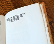 Load image into Gallery viewer, [Waldo Press] Rip Van Winkle
