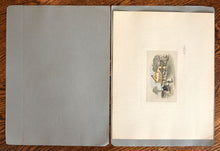 Load image into Gallery viewer, [Limited to 18 Copies | Portfolio of 12 Etchings] In Old New York
