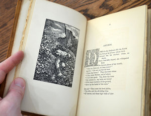 [Unusual Fine Binding] Green Arras