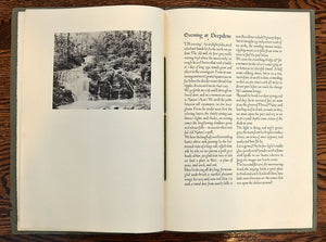 [Village Press | Pamphlet & Broadside] Evening at Deepdene / The Type Speaks
