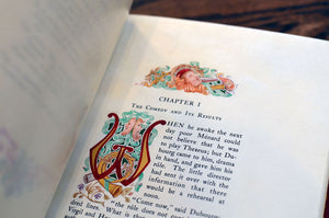 [Printed on Vellum | Bibliomaniac Edition] Sister Anne, Vol. III