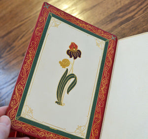 [Printed on Vellum | Bibliomaniac Edition] Sister Anne, Vol. II