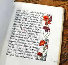 Load image into Gallery viewer, [Illuminated Manuscript] On Gardens
