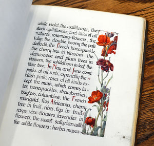 [Illuminated Manuscript] On Gardens