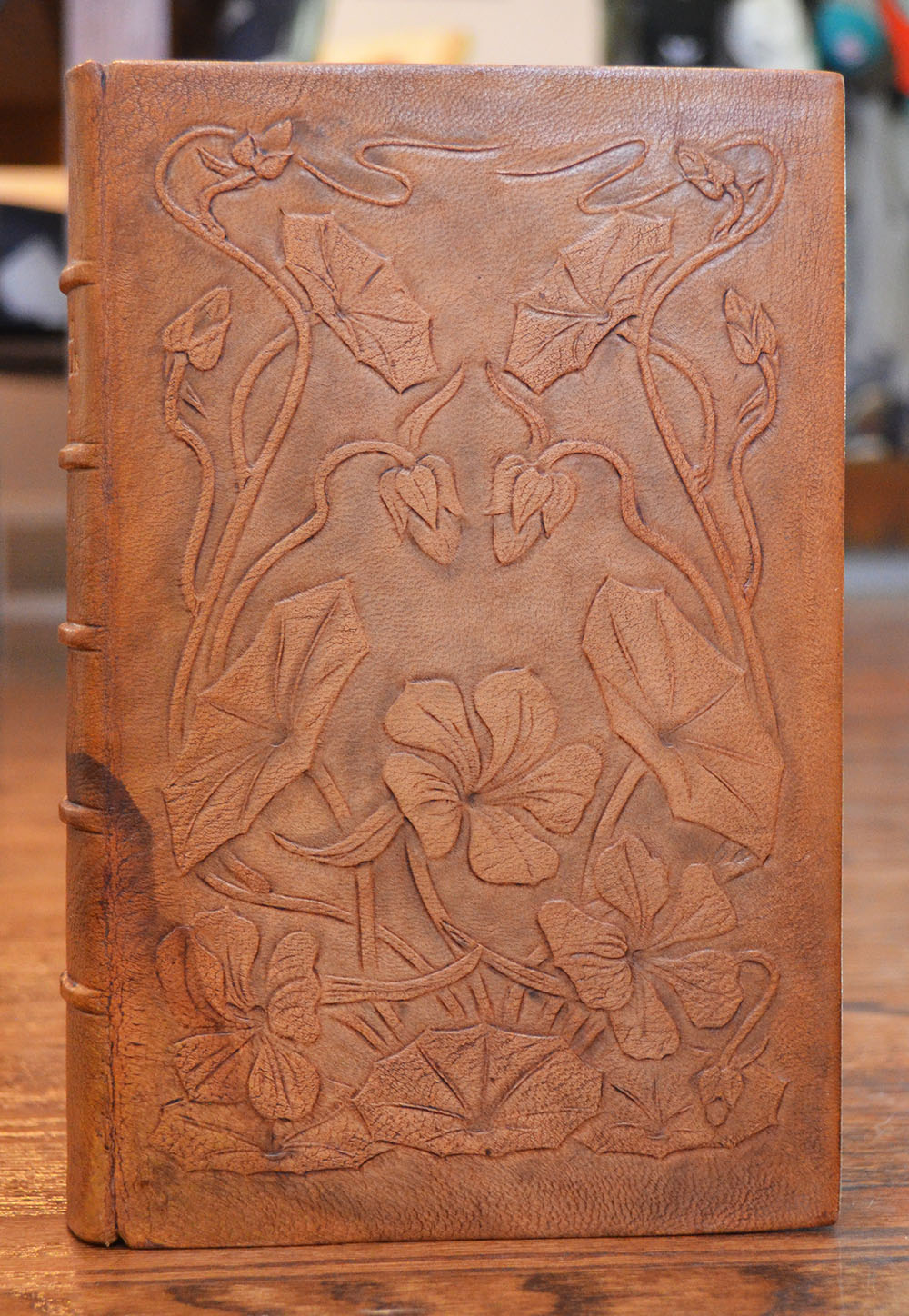 [Modeled Leather Binding] Crane, Thomas Frederick. Italian Popular Tales.