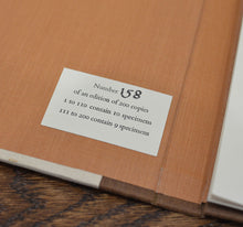 Load image into Gallery viewer, [Vellum Samples] Specimens of Parchment with Notes by Ronald Reed

