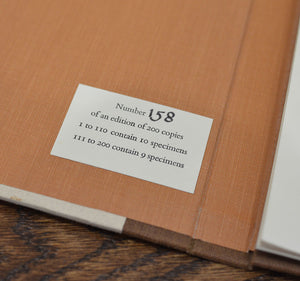 [Vellum Samples] Specimens of Parchment with Notes by Ronald Reed