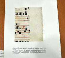 Load image into Gallery viewer, [Vellum Samples] Specimens of Parchment with Notes by Ronald Reed
