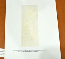 Load image into Gallery viewer, [Vellum Samples] Specimens of Parchment with Notes by Ronald Reed
