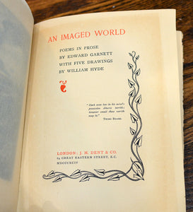 [Hand-Colored] An Imaged World
