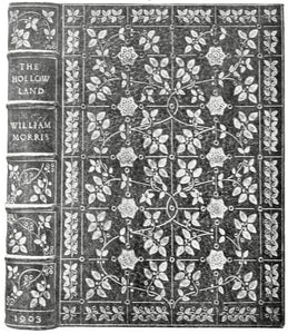 [Fine Binding | S. Barnard & L. Hay Cooper] The Hollow Land